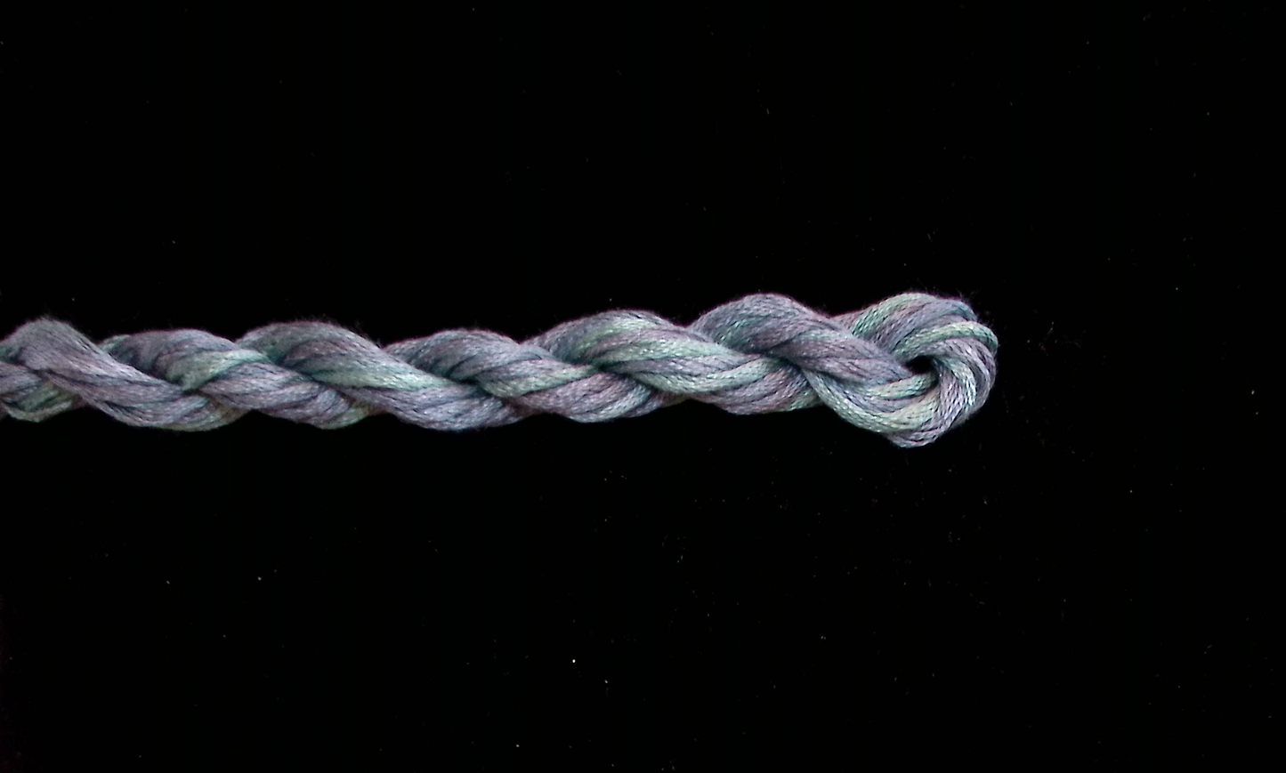Evergreen Waterlilies Thread