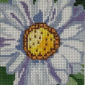 Full Bloom White Daisy Coaster Jean Smith