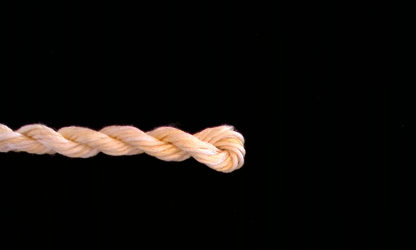 Blonde Waterlilies Thread