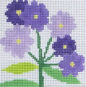 Aster Coaster Jean Smith