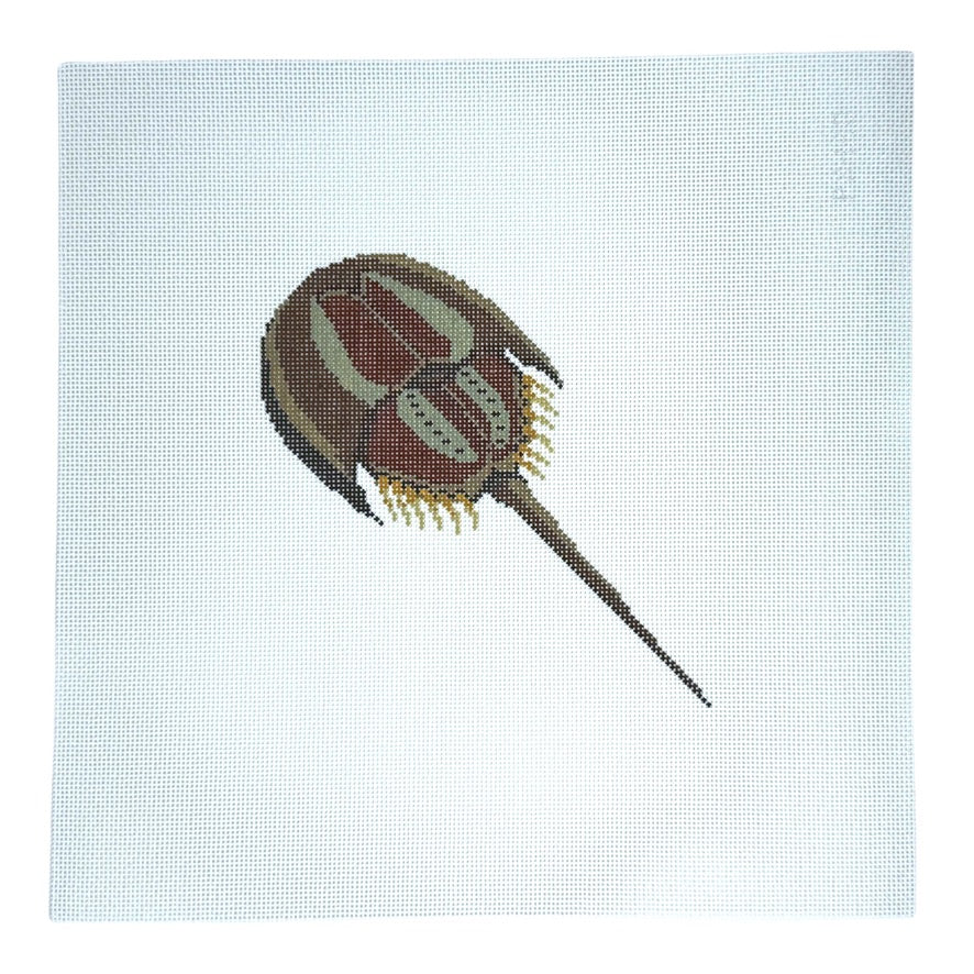 PR-150 Horseshoe Crab