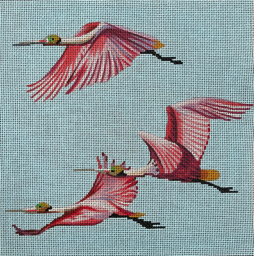 Spoonbill Formation Colors of Praise