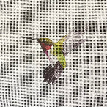 Green Hummingbird Colors of Praise
