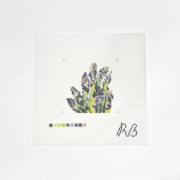 Bronze Asparagus Rachel Barri