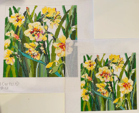 Daffodils Carol Curtis