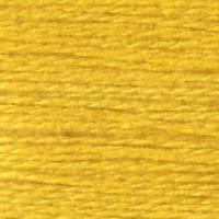 Essentials Canary 577