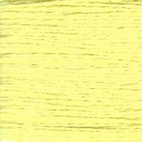 Essentials Pina Colada 580