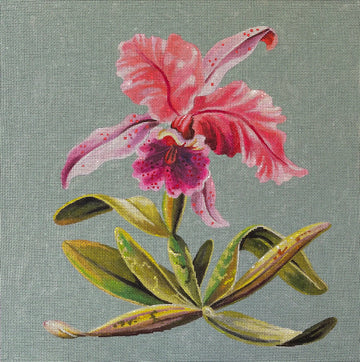 Pink Orchid Floral Pillow Colors of Praise