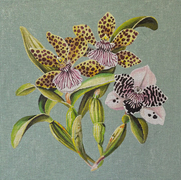 Speckled Orchid Floral Pillow Colors of Praise