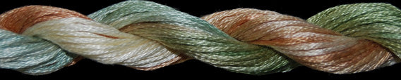 Cotton Floss 1113 Indian Summer Threadworx