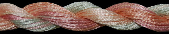 Cotton Floss 1142 Desert Flowers Threadworx
