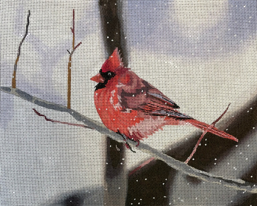 Cardinal on Branch Gia Marie