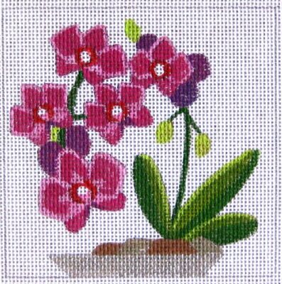 Orchids Raymond Crawford