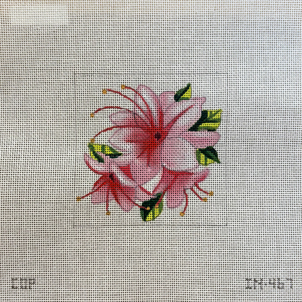 Floral Insert Colors of Praise