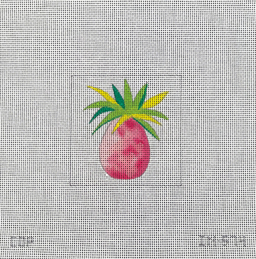 Pineapple Insert Colors of Praise IN574