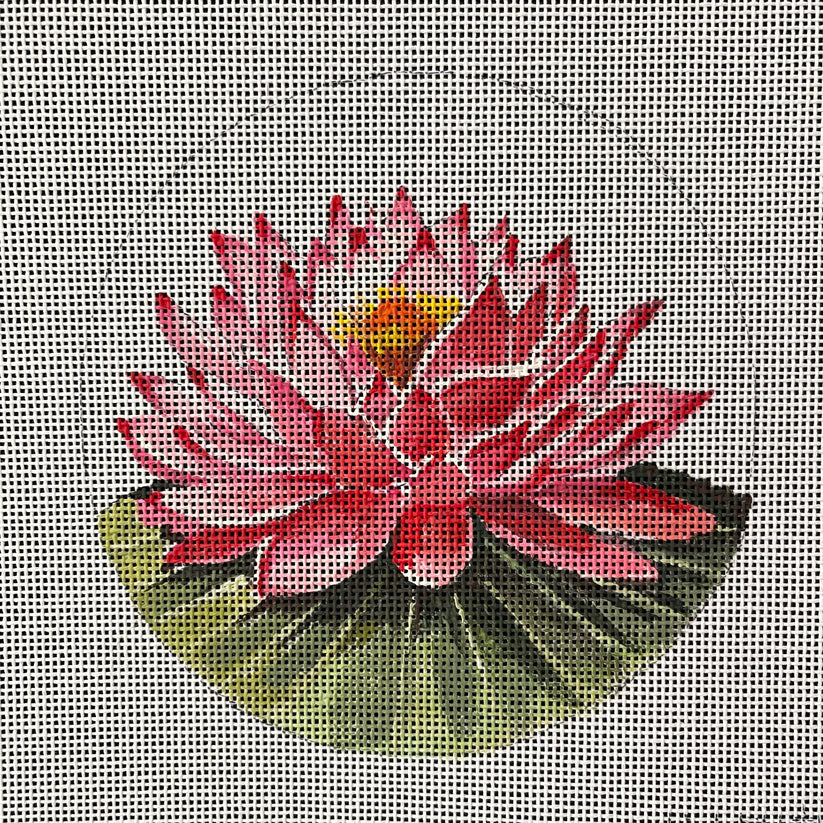 Lotus Flower Colors of Praise