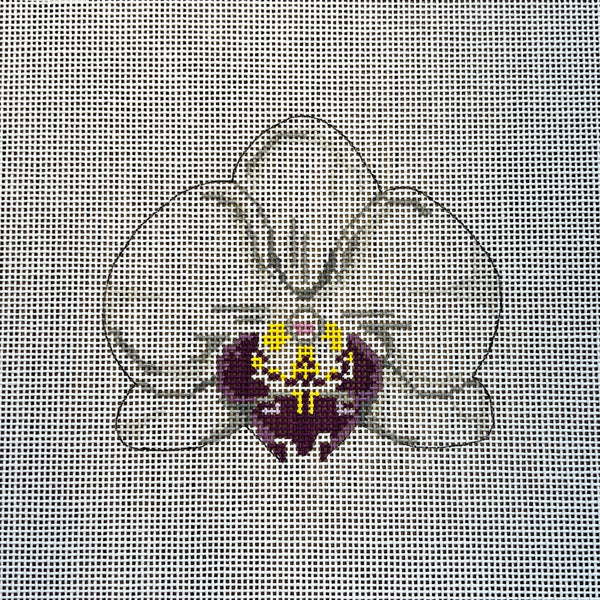 Single White Orchid Kate Woodward