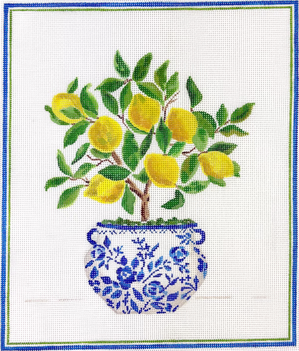 Lemon Topiary in Blue & White Pot Lindsay Brackeen