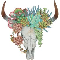 Succulent Skull Mary Lake-Thompson