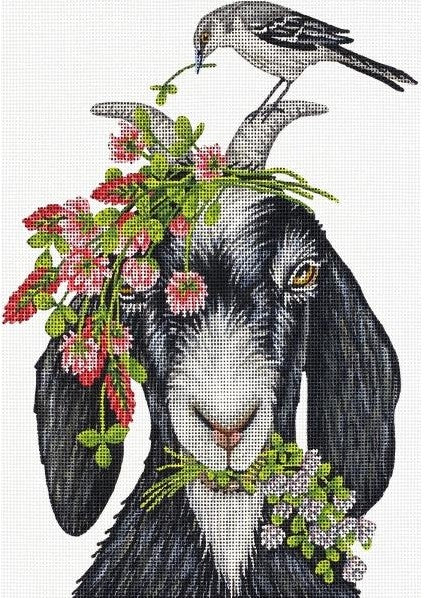 Clover Goat Melissa Shirley