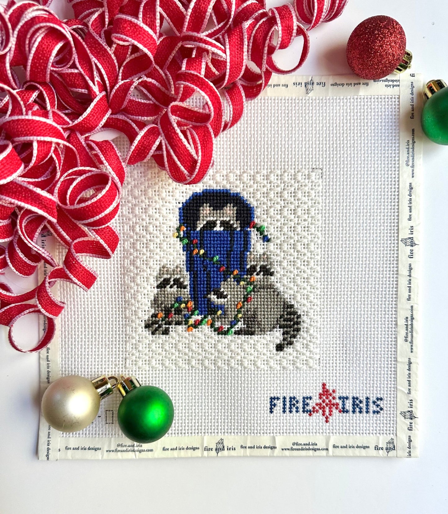 Rocky Raccoon's Holiday Party Fire and Iris