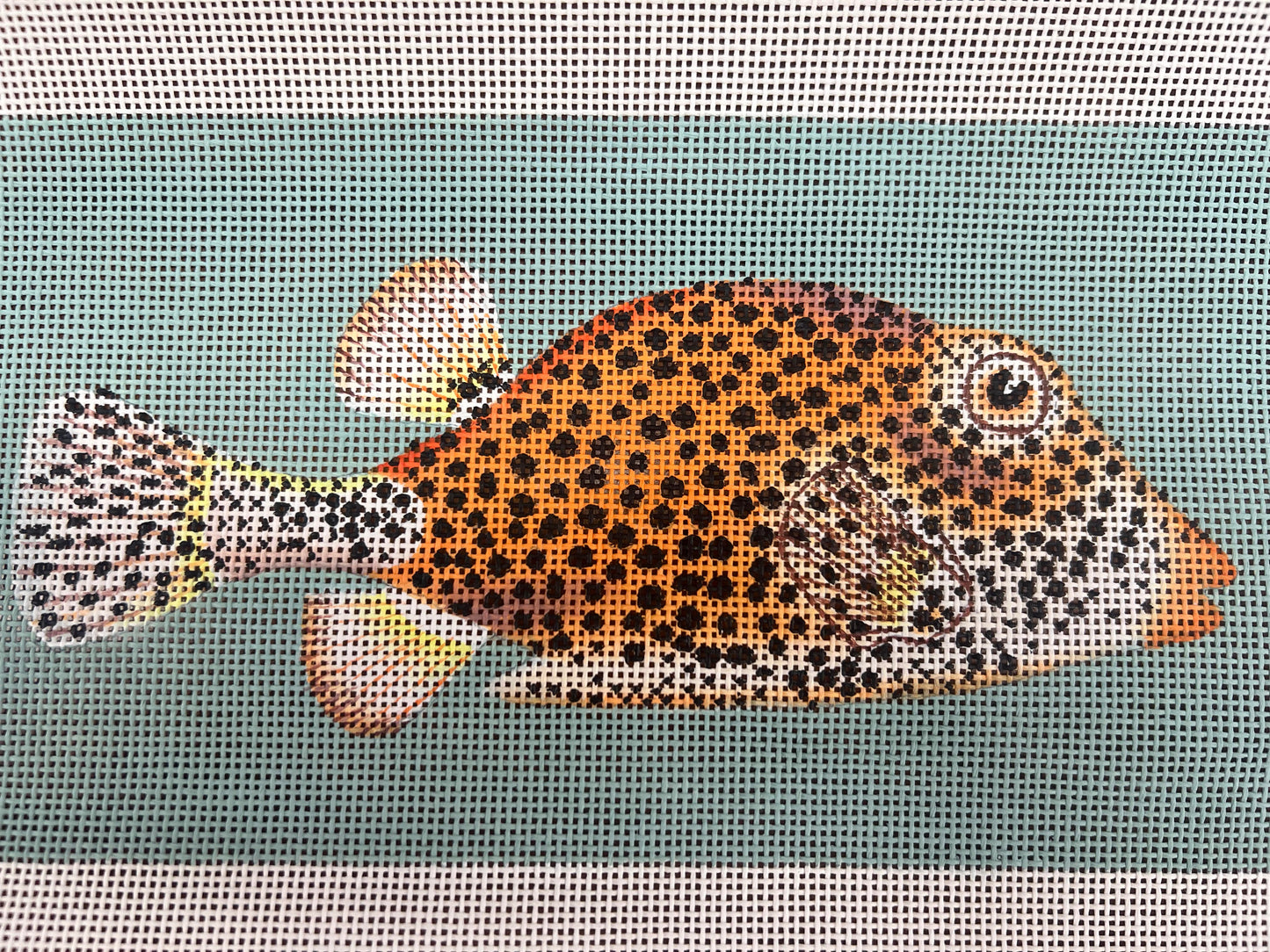Spotted Fancy Fish Melissa Shirley