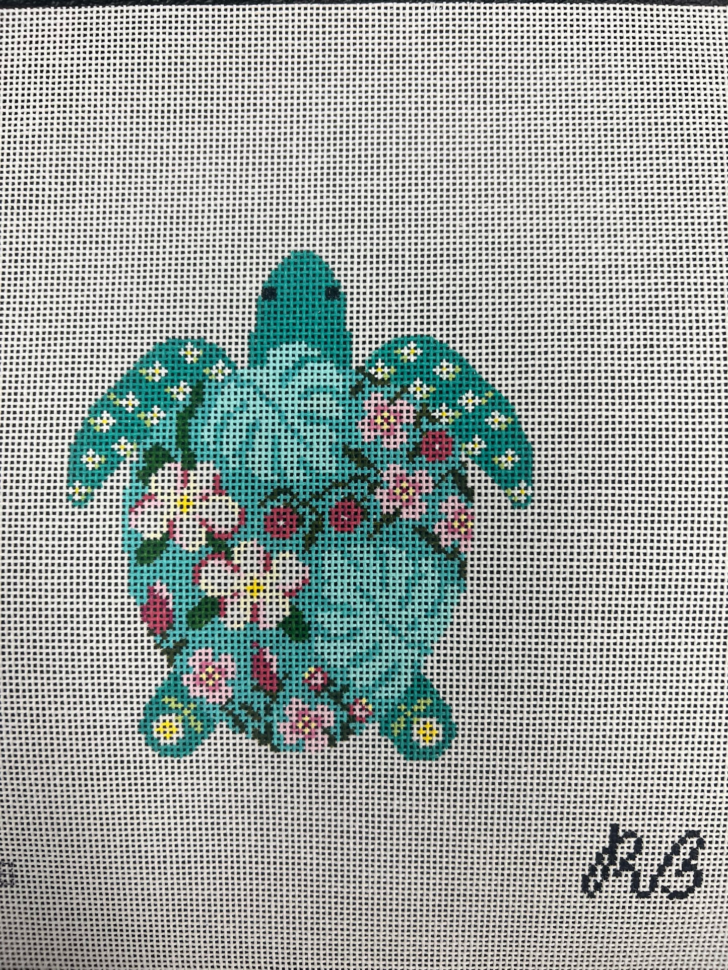 Tilly the Turtle Rachel Barri