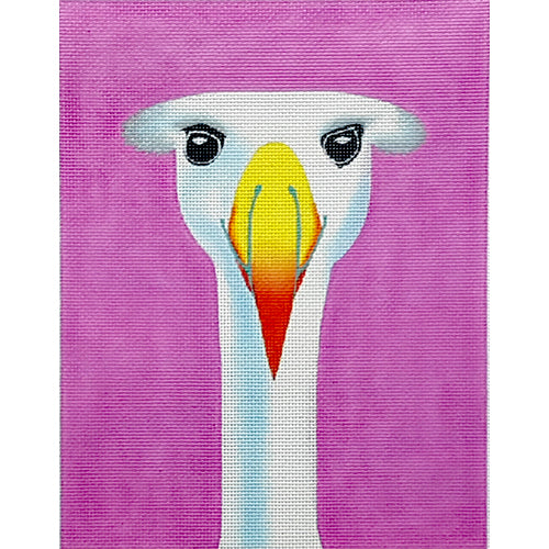Albatross Zecca