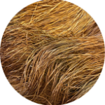 Straw Silk Malt Liquor 0253 Variegated