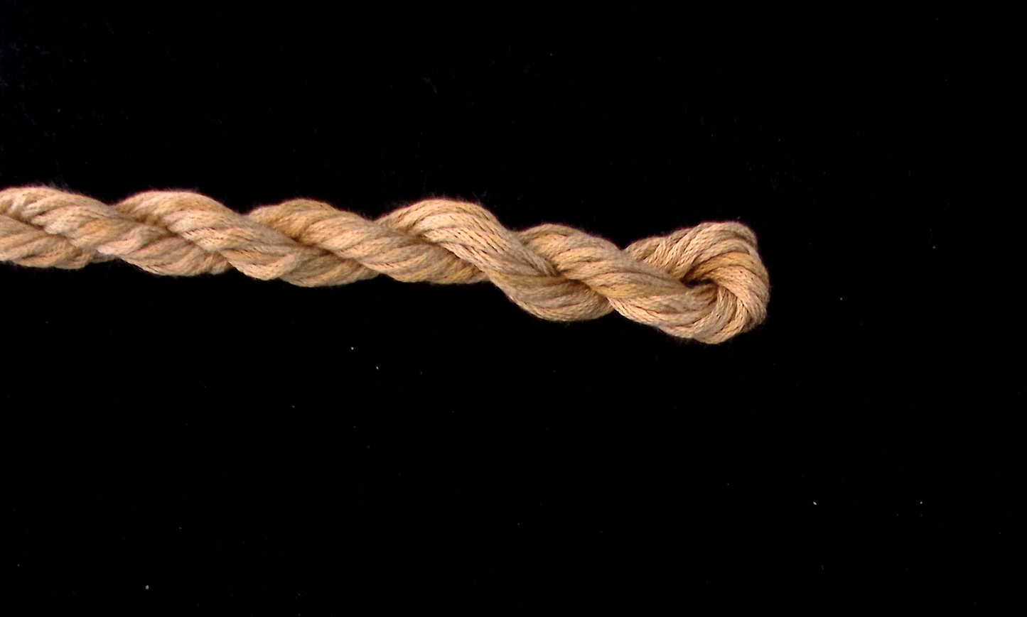 Pesto Waterlilies Thread