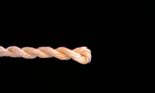 Blonde Waterlilies Thread