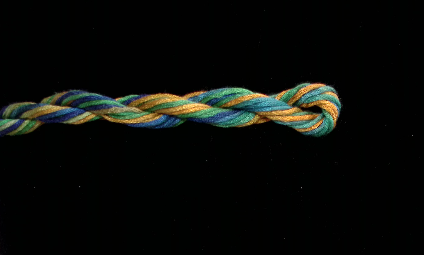 Parrot Waterlilies Thread