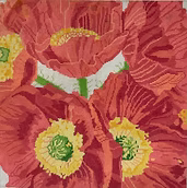 Poppy Dazzle Jean Smith