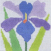 Iris Coaster Jean Smith