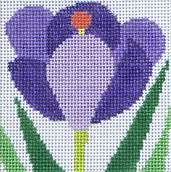 Crocus Coaster Jean Smith