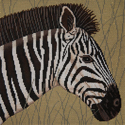 Zebra in Grasses