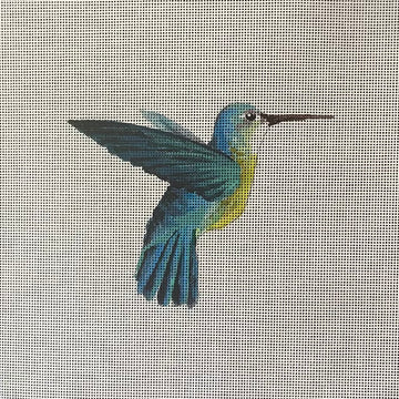 Blue Hummingbird Colors of Praise