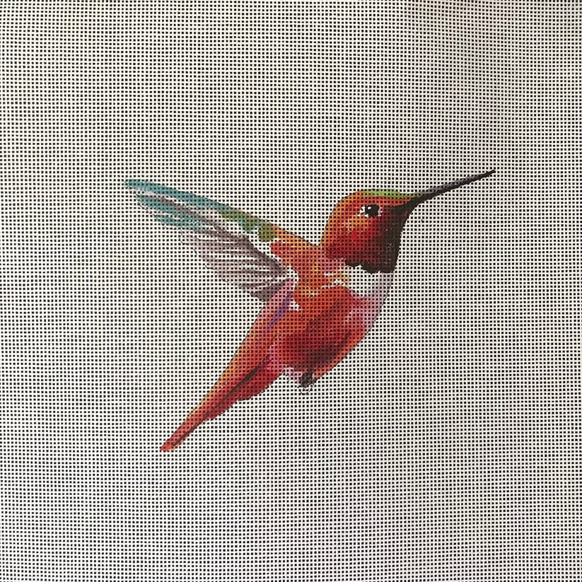 Red Hummingbird Colors of Praise