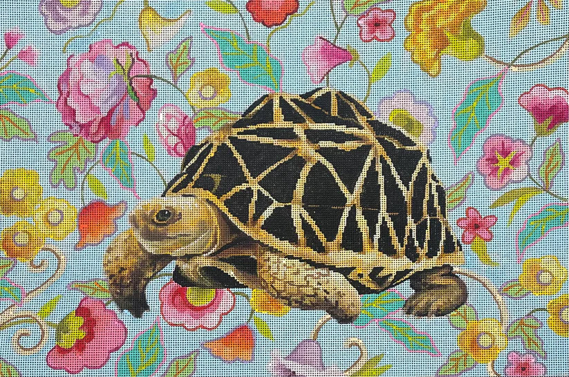 Turtle on floral background Colors of Praise AN527