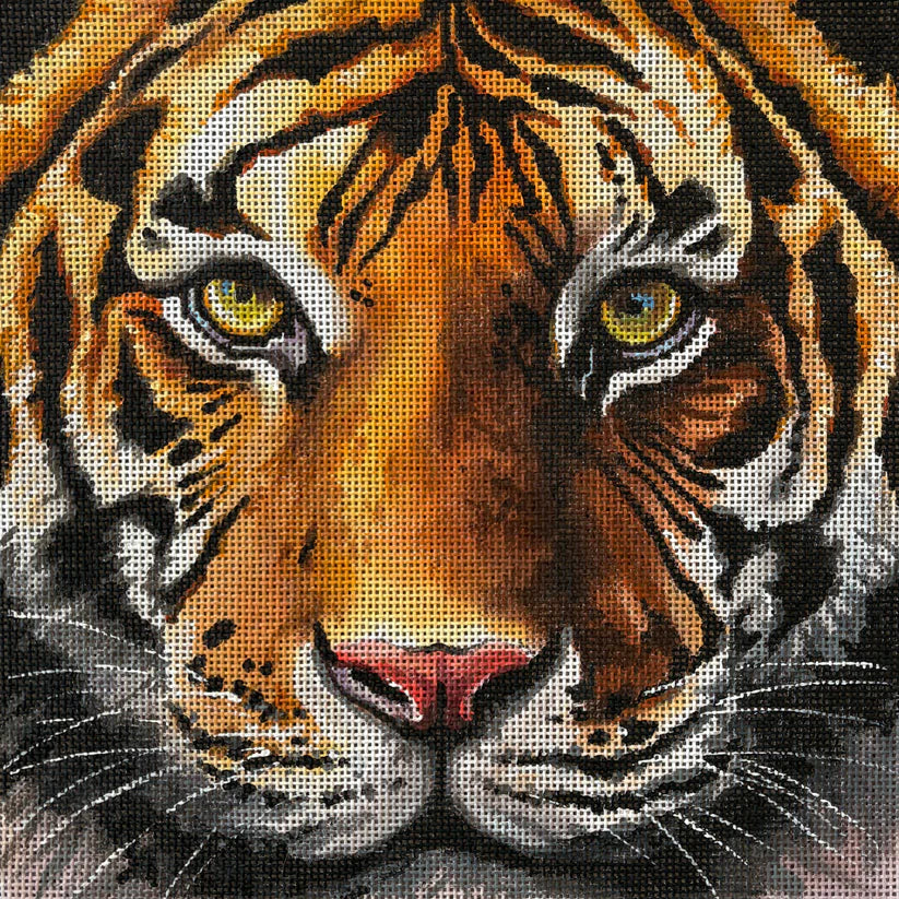 Majestic Up-close Tiger Face Colors of Praise