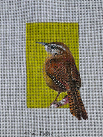 Carolina Wren Colors of Praise