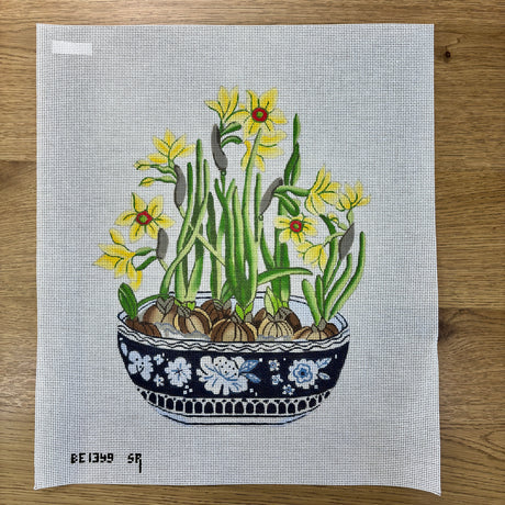 Narcissus in Planter Susan Roberts