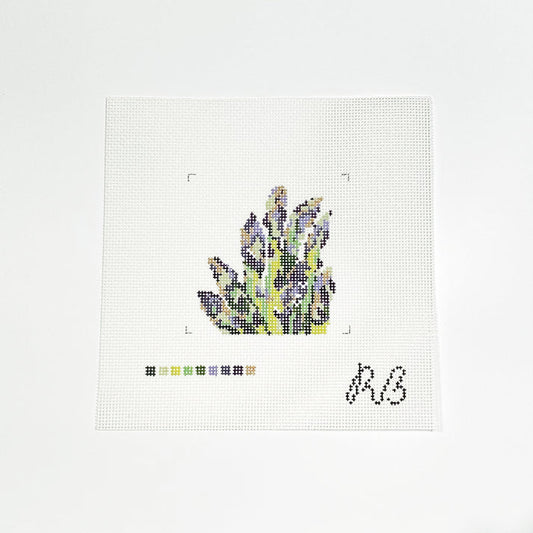 Bronze Asparagus Rachel Barri