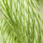3060 Spring Vineyard Silk 13