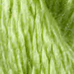 3061 Shamrock Vineyard Silk 13