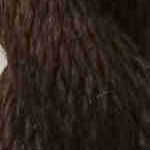 3113 Chocolate Vineyard Silk 13