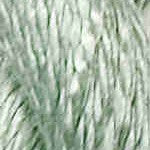3147 Bokchoy Vineyard Silk 13