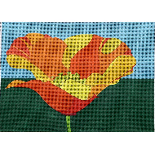 California Poppy