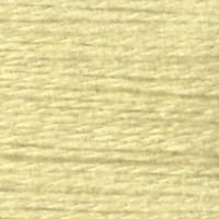 Essentials Twinkle 579