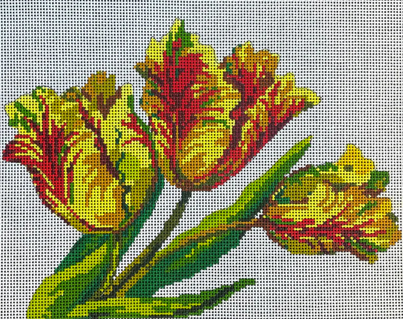 Parrot Tulips-Floral Colors of Praise